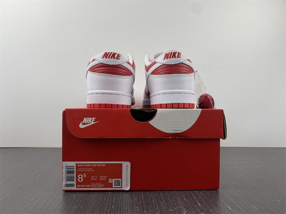 from NIKE DUNK LOW RETRO DD1391-600