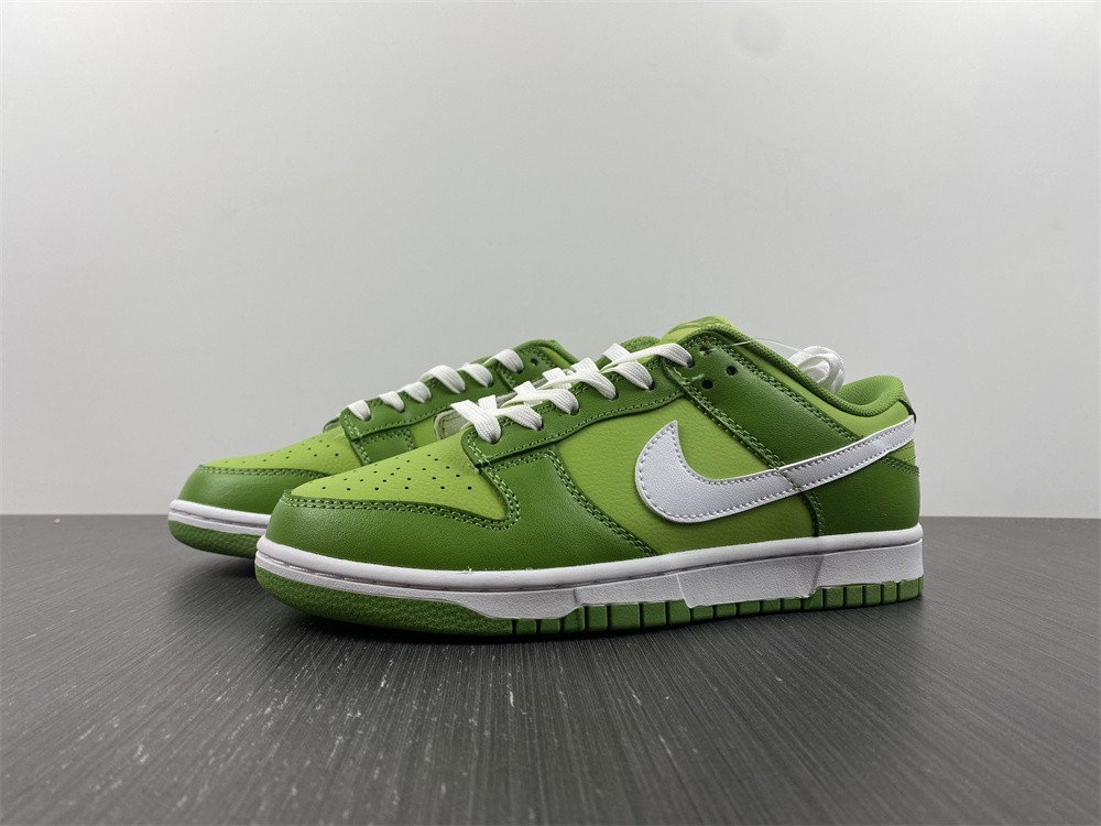 from NIKE DUNK LOW DJ6188-300