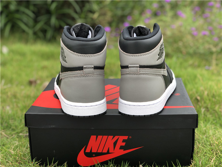 Air Jordan 1 “Shadow”