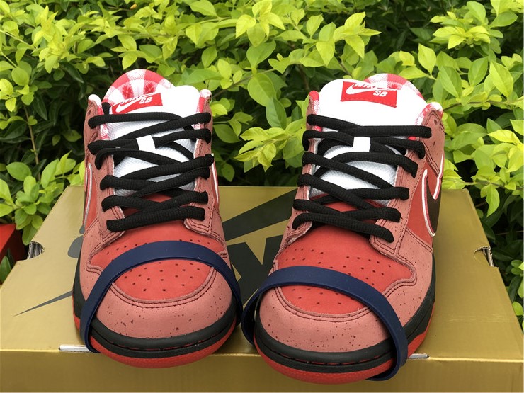 from Nike SB Dunk Low Sb Lobster 313170-661