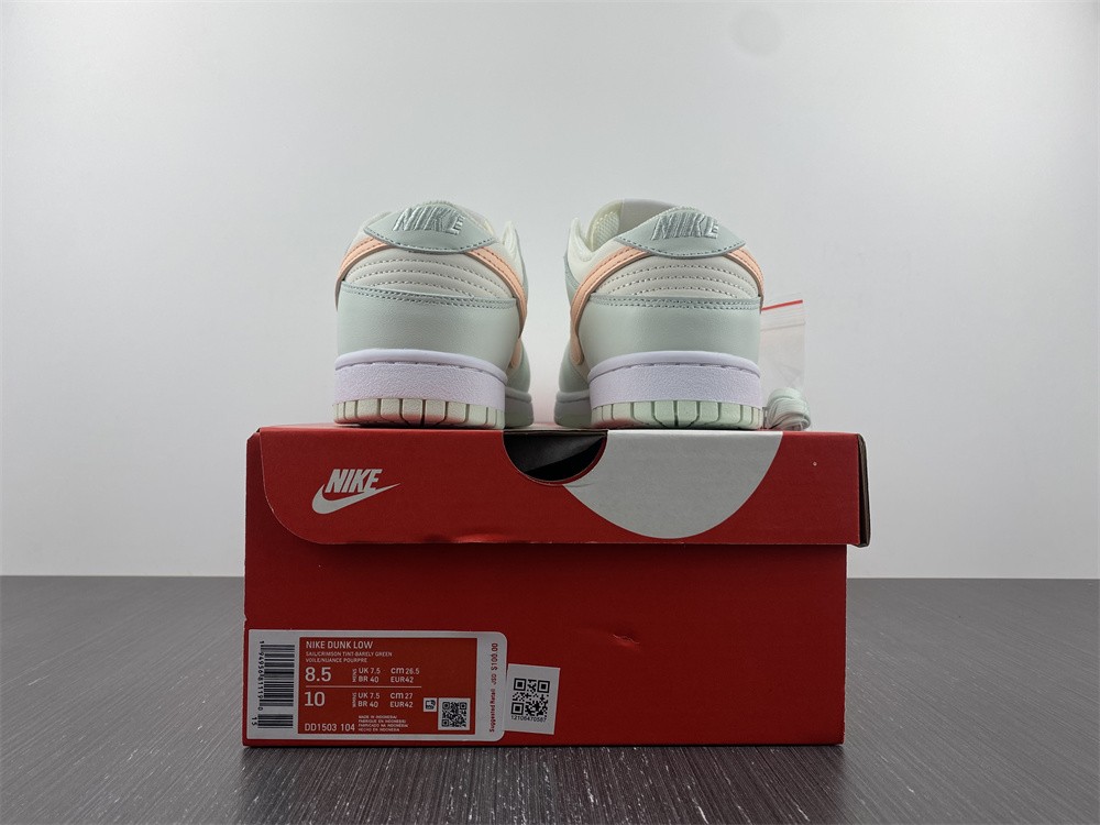 from Nike SB Dunk Low DD1503-104