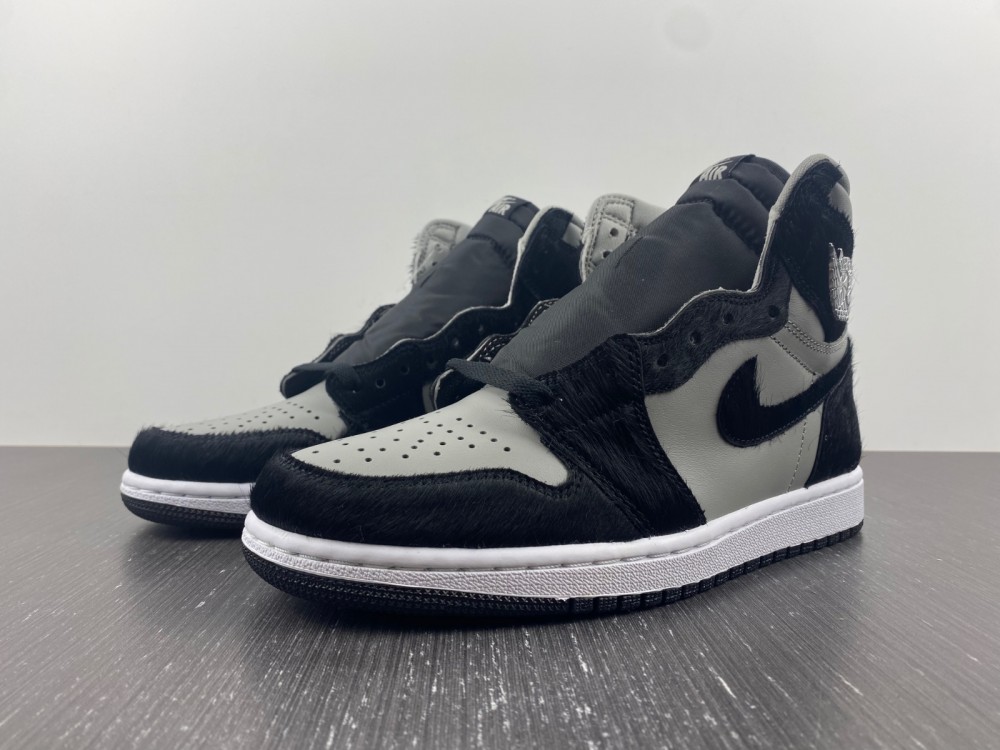 Air Jordan 1