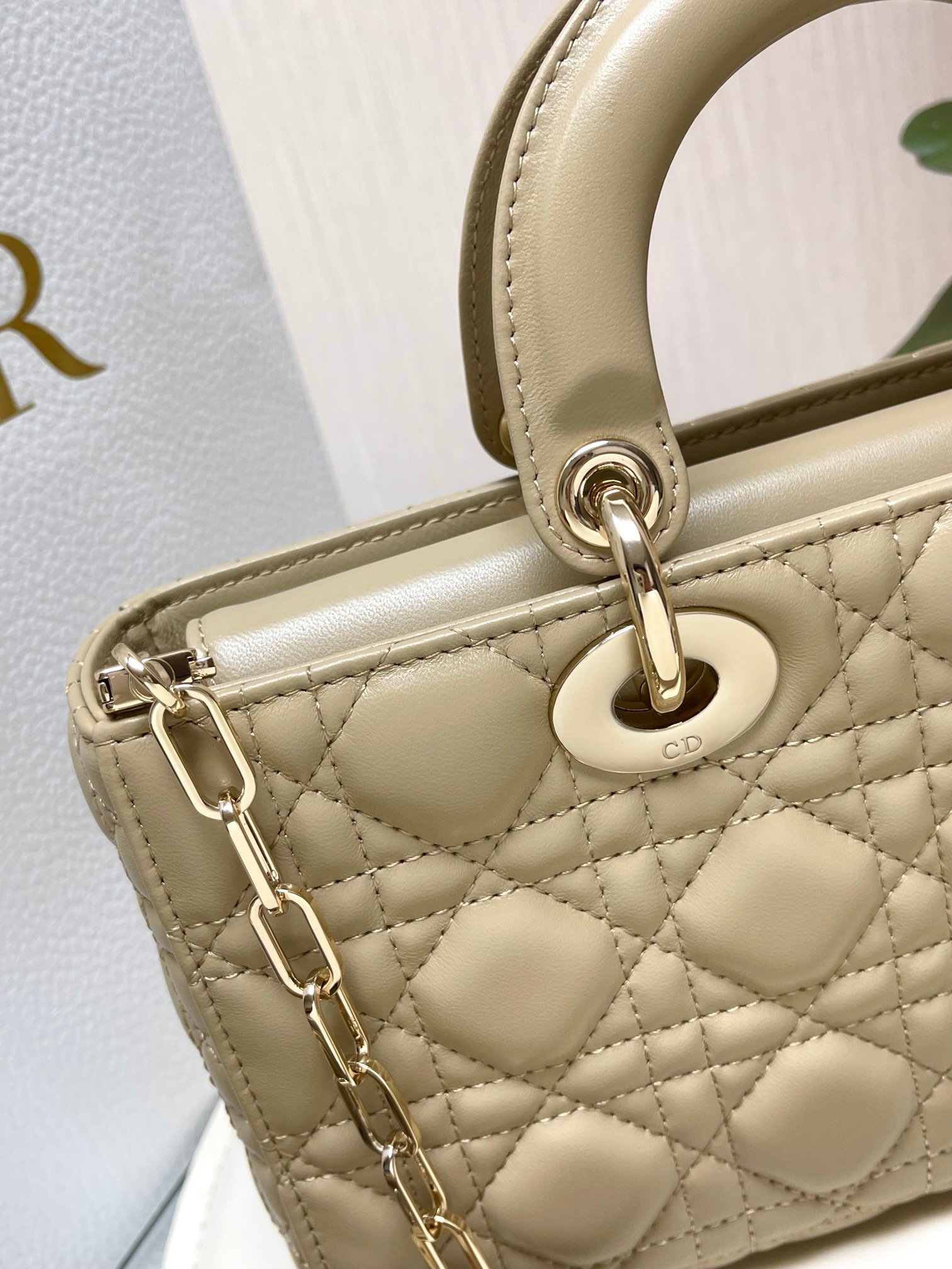 Women D*ior Bag Top Quality