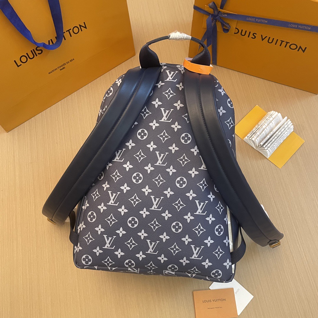 L*ouis V*uitton Top Bag