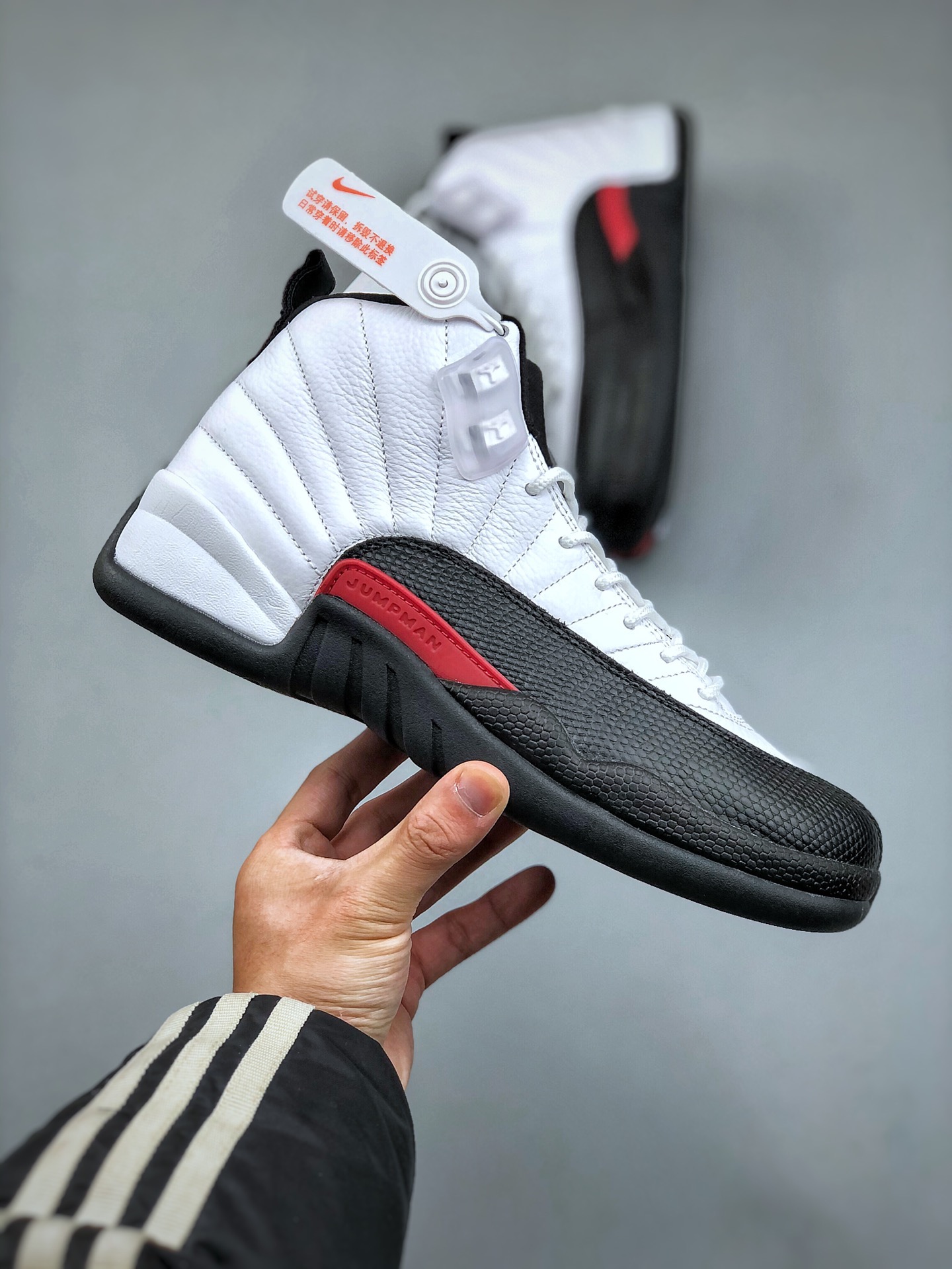 Air Jordan 12