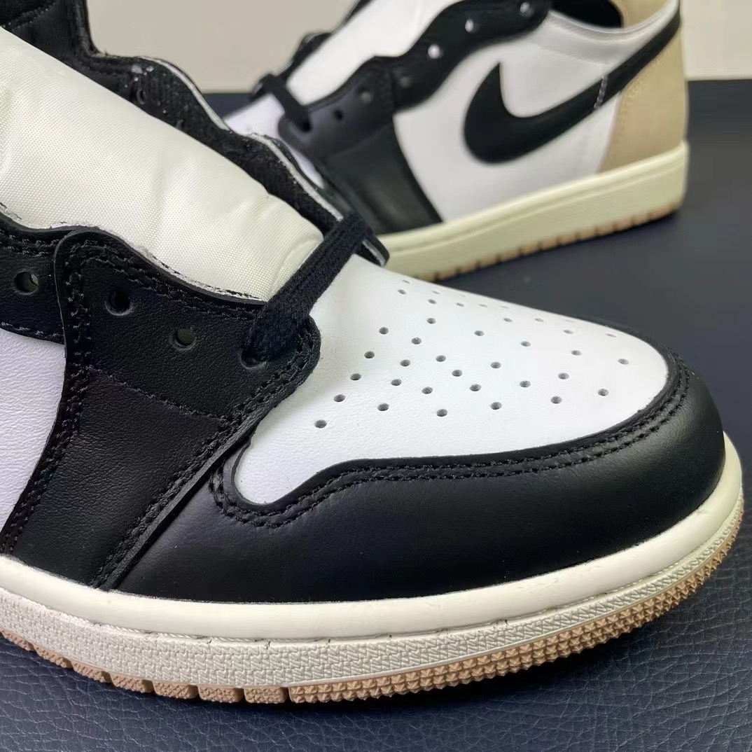 Air Jordan 1 sneaker