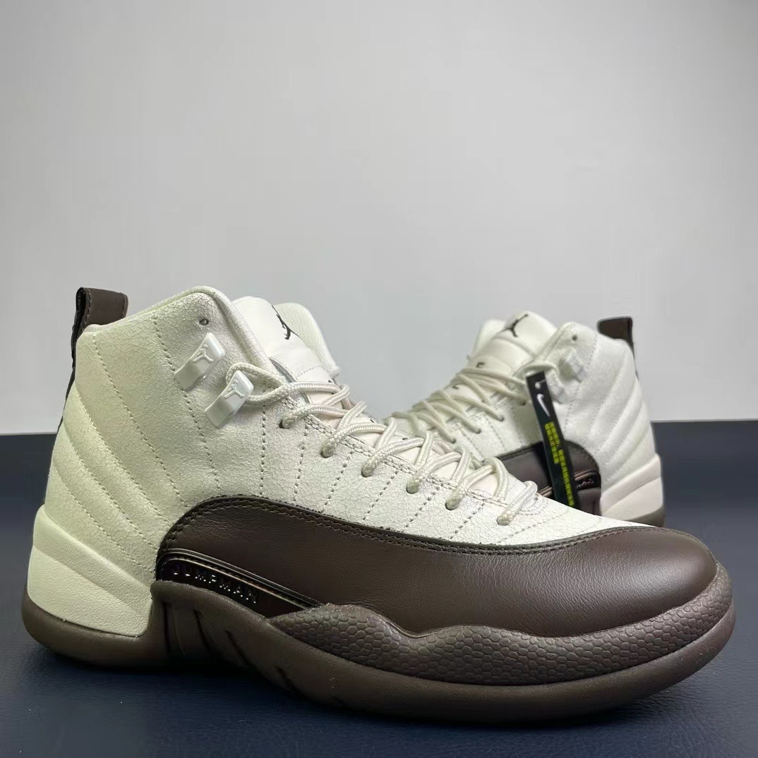 Air Jordan 12